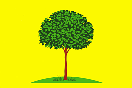 Флаг города